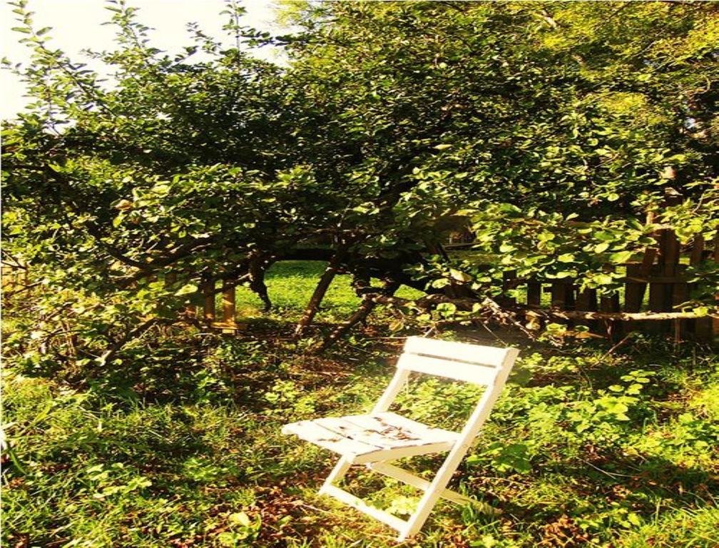Le Moulin Fleuri Du Petit Appeville Exteriör bild