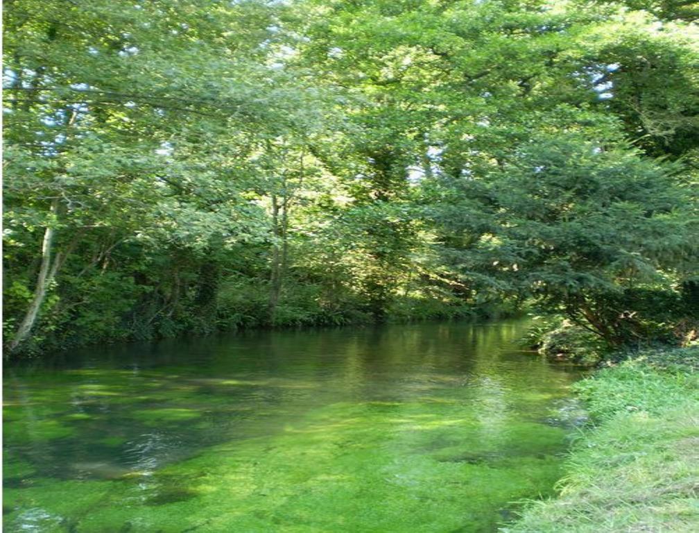 Le Moulin Fleuri Du Petit Appeville Exteriör bild